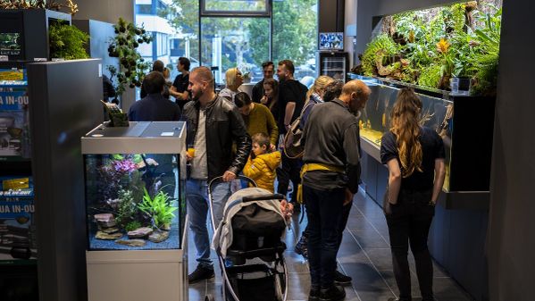 Kunden beim Betrachten der Aquarien