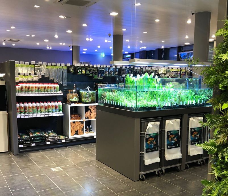 Angebot