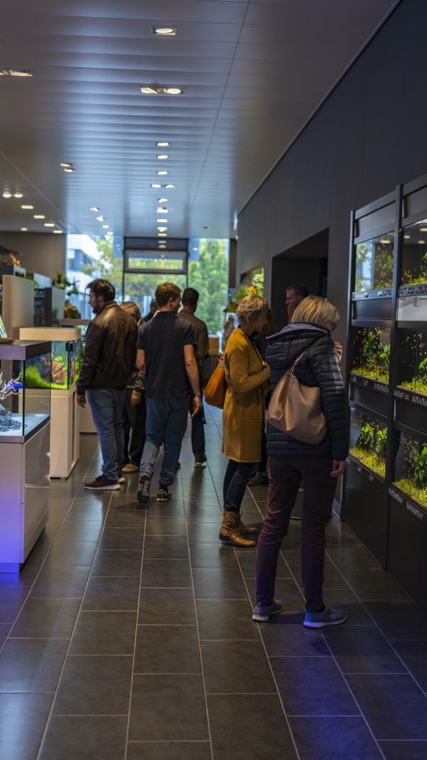 Kunden beim Betrachten der Aquarien