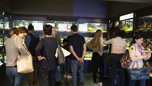 Kunden beim Betrachten der Aquarien