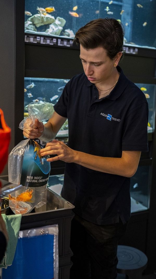 Aquatrend-Team bei der Arbeit