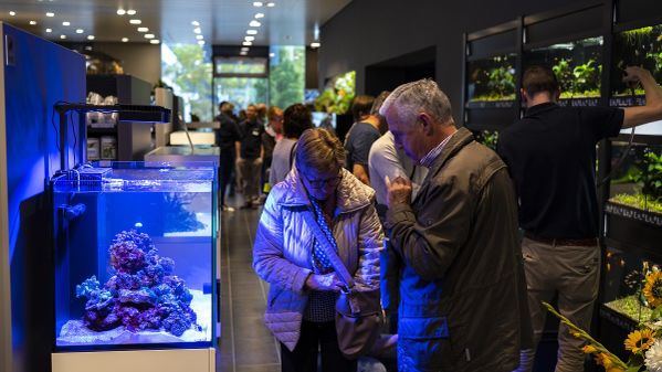 Kunden beim Betrachten der Aquarien