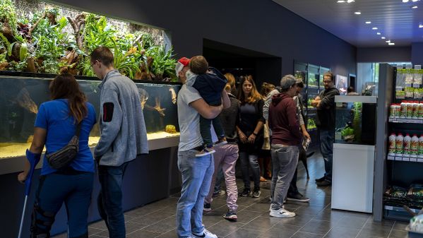 Kunden beim Betrachten der Aquarien
