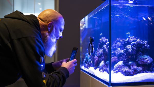 Kunden beim Betrachten der Aquarien