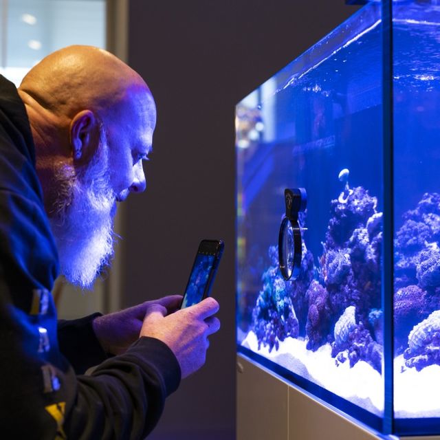 Kunden beim Betrachten der Aquarien