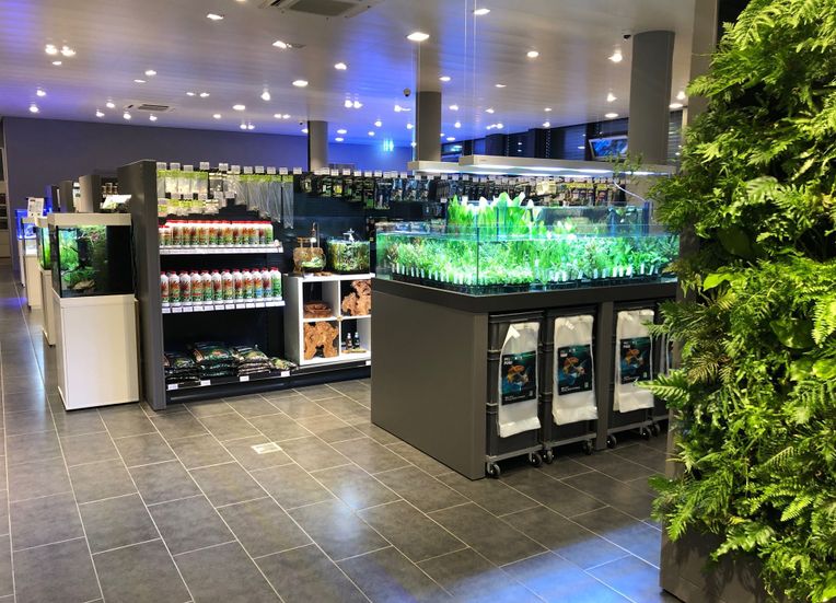 Angebot